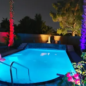  Homestay Catmosphere 2 United States